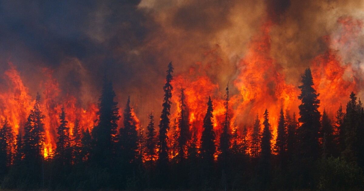 Record temperatures, record bonuses