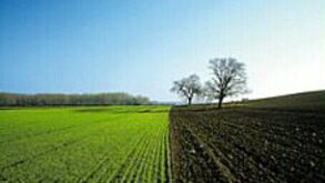 Agriculture