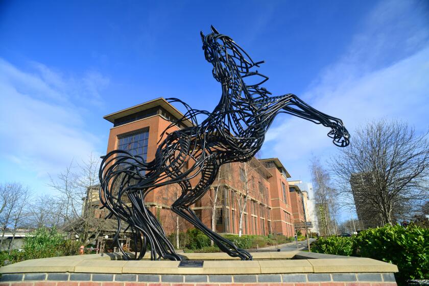 black horse statue "Cancara" created by peter tysoe outside Lloyds bank headquarters Lovell Park Leeds united kingdom