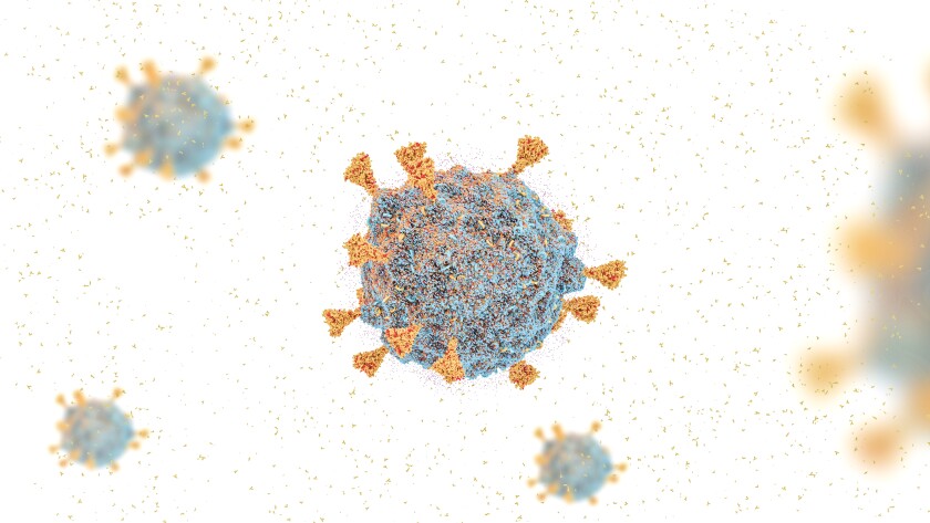 COVID-19 virus SARS-COV-2 OMICRON strain, covid-19 South African