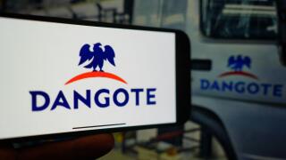 Roosendaal, The Netherlands - March 1, 2025: A mobile phone displaying the logo of Dangote Group, with the company website in the background.