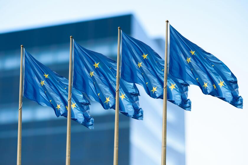 Flags of European Union near building outdoors