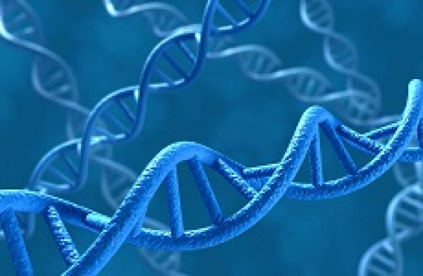 DNA hybrid
