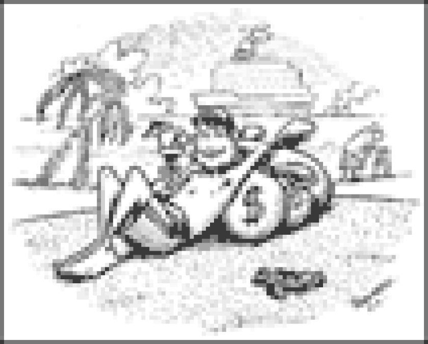 beachsmall.gif