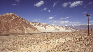 silk road 230