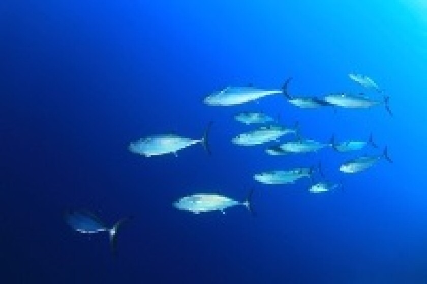 Fish_230px