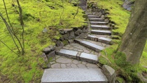 steps_230px