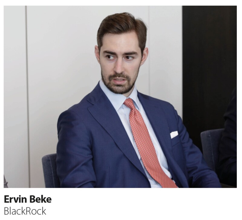 Bank Capital