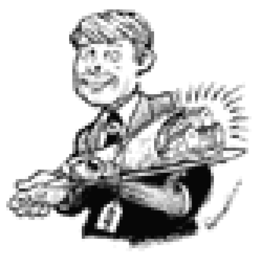 bw85wrapnew.gif