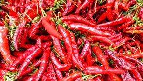 peppers.jpg