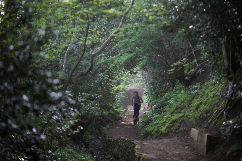 Early morning lady jogger runs up start of Penine Way in Vale of Edale, Peak District National Park, Derbyshire.