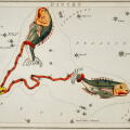 Astronomical chart illustration of the Pisces , 1831, Sidney Hall