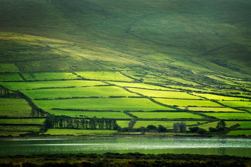 Green fields on the Ring of Kerry as seen from Valentia Island, Ireland