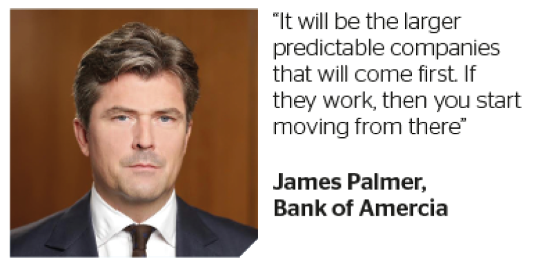 Palmer.png
