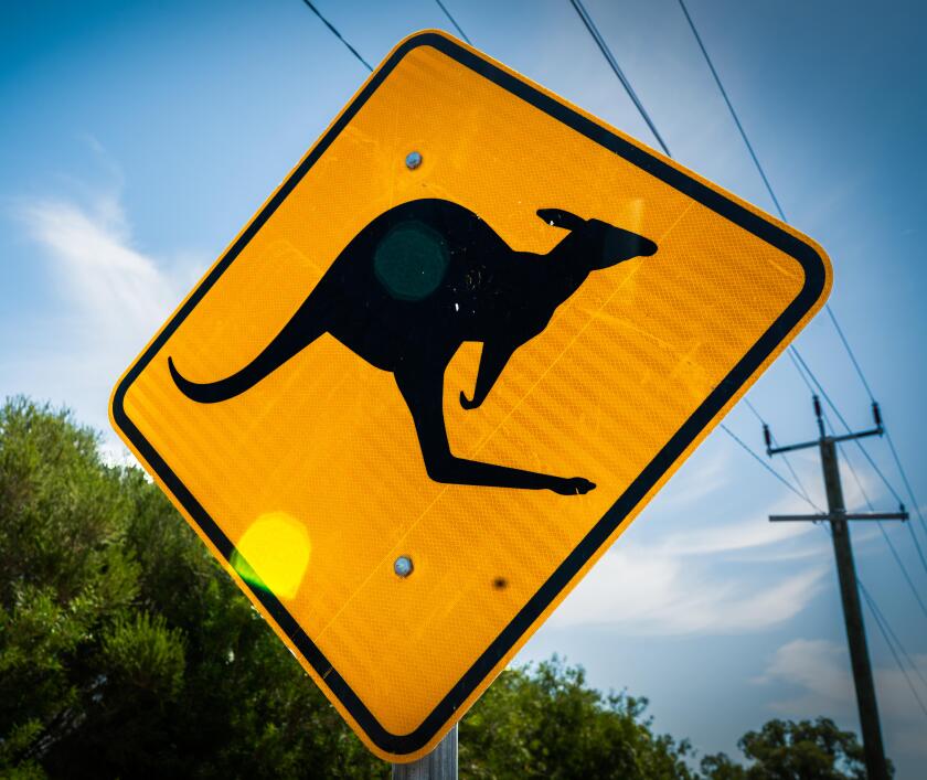 Kangaroo Sign