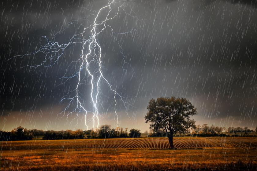 Lightning over field