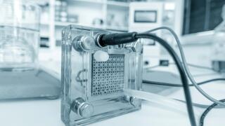 Hydrogen fuel cell.