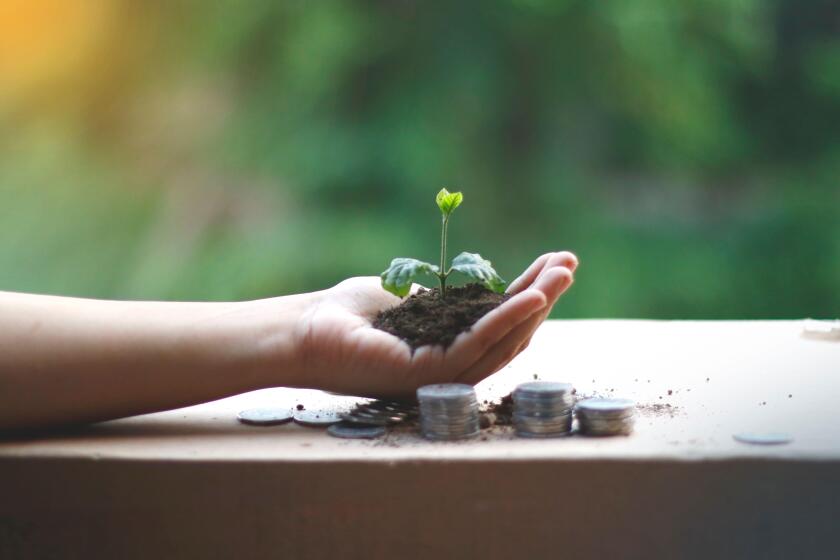 Growing Money | Business Growing. Man Holding Coin | Plant On Coins |  Finance And Investment | Profit and income