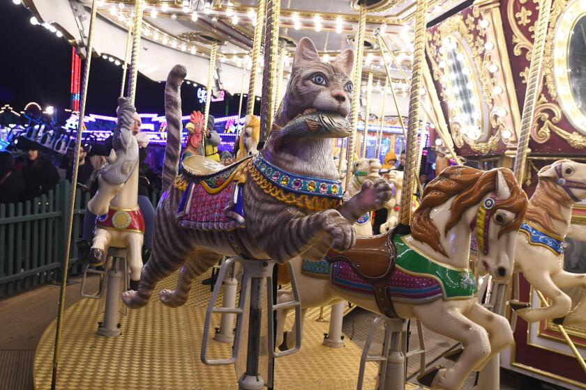 Cat on a carousel at Winter Wonderland, Hyde Park, London, UK 2020