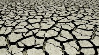 dry-up.jpg