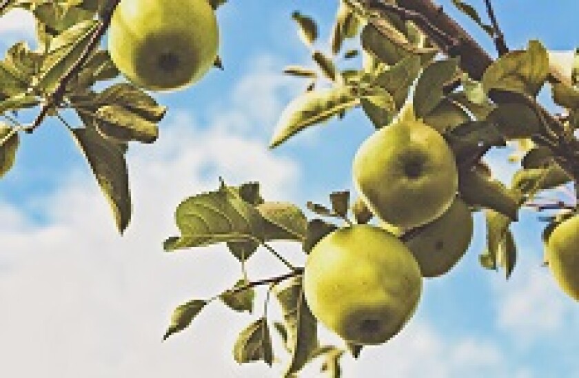 greenapple