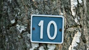 White number 10 on blue background attached to a tree