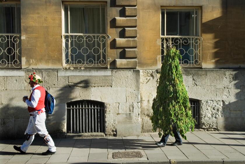 May morning May Day, The party is over by 9am. A Morris Man and his Green Man companion tired and wilting make their way home having probably been up all night celebrating. Oxford England UK. 1st May 2013 2010s HOMER SYKES