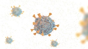 COVID-19 virus SARS-COV-2 OMICRON strain, covid-19 South African