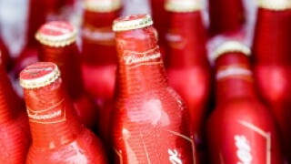 budweiser41.jpg
