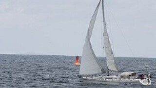 boat 230px