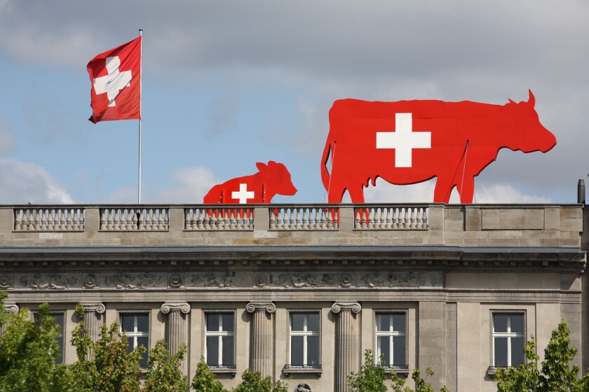 Berlin, Germany, Swiss cows and flag on the embassy Schweitzer