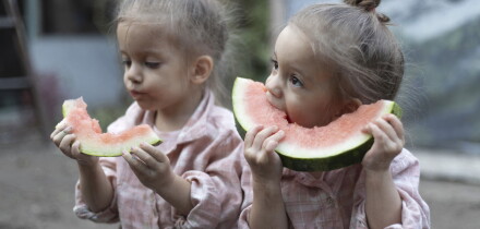 Little caucasian twins girls eating watermelon. Children sisters sitting together. Family time.