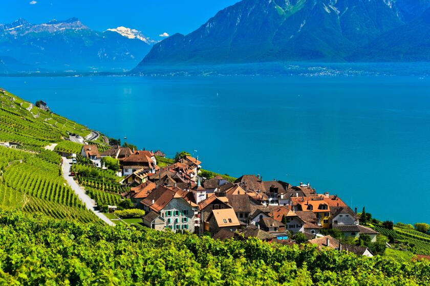 Winegrowing village Epesses at Lake Geneva in the UNESCO-listed Lavaux vineyard region, Vaud, Switzerland