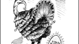 bw.gif