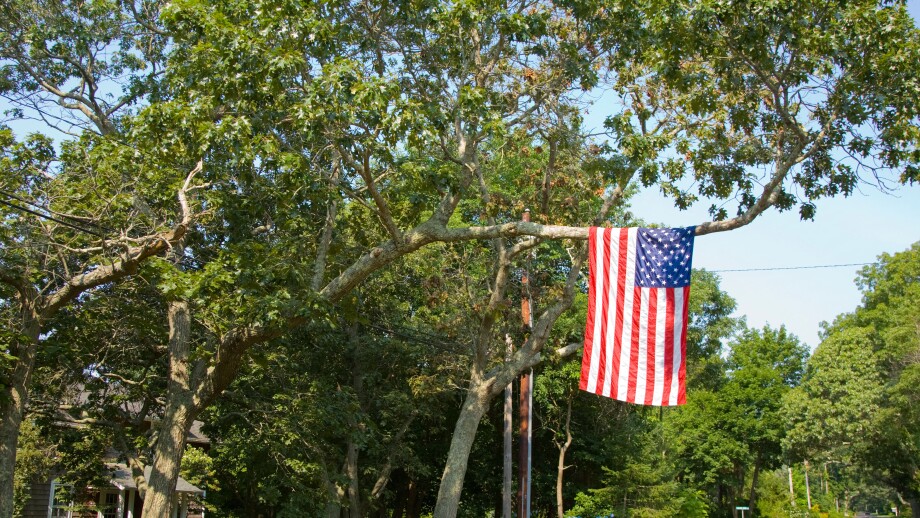 American flag hanging from a tree. Image shot 2008. Exact date unknown.