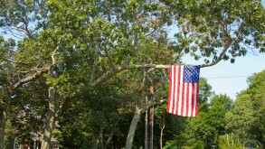 American flag hanging from a tree. Image shot 2008. Exact date unknown.