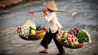 Vietnam_3_230px