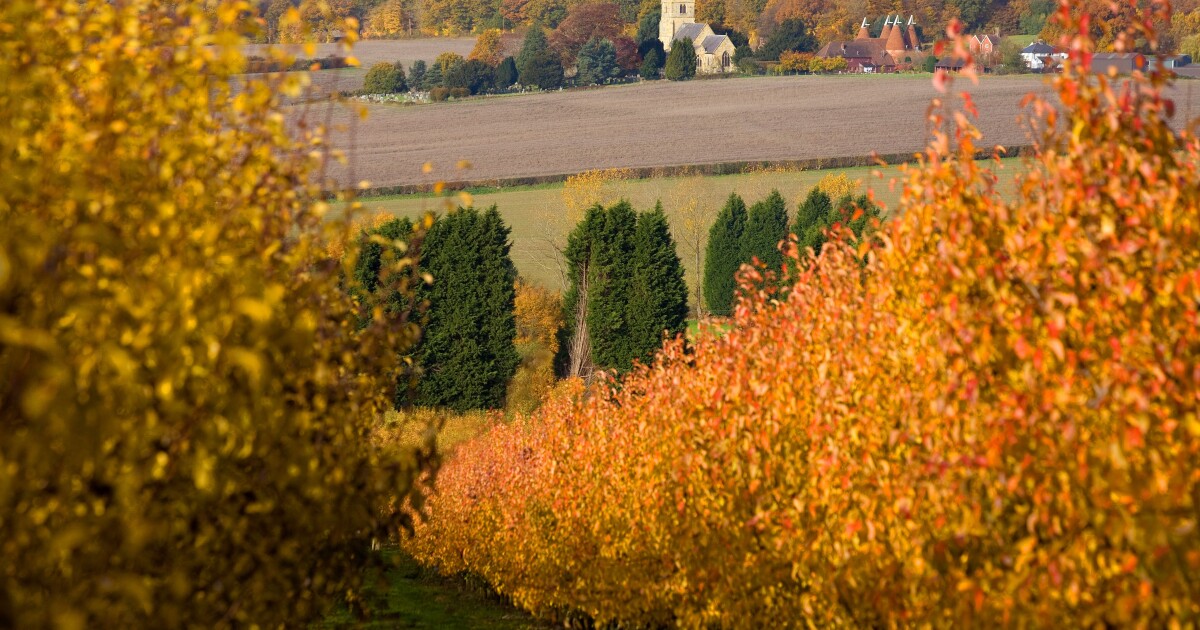 SSAs must make hay in non-core markets come the autumn