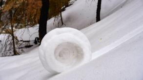 A large snowball moves down a sloping hill covered with fresh snow. Surrounding trees showcase the beauty of nature in winter.