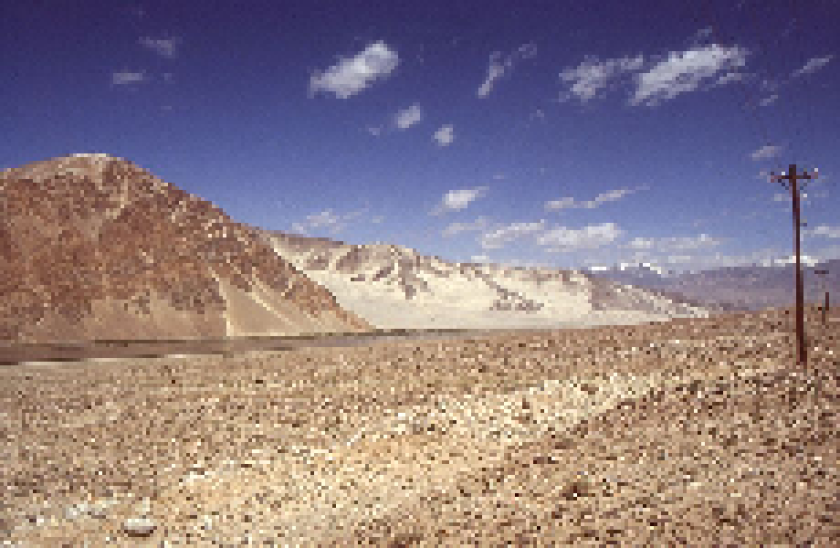 silk road 230