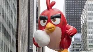 PA-Angry birds