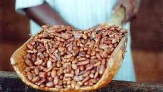 cocobod.jpg