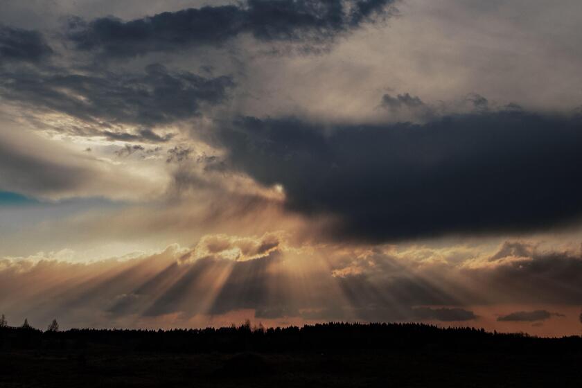 A breathtaking landscape showcasing dramatic crepuscular rays as the sun pierces through thick, moody clouds over a forested horizon.