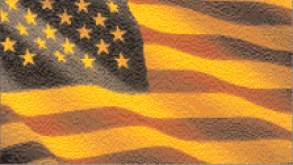 usflag.gif