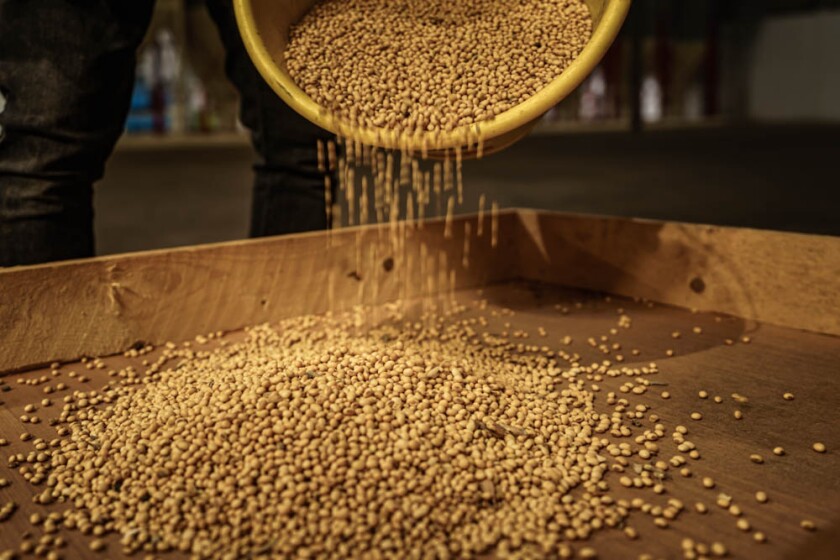 Seeds.jpg