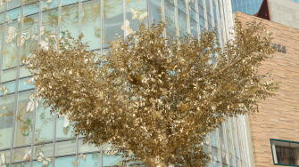 A giant golden tree decorates the outside of a shopping centre in Shanghai, China. 26th Nov, 2023. (Photo by ChinaImages/Sipa USA) Credit: Sipa US/Alamy Live News