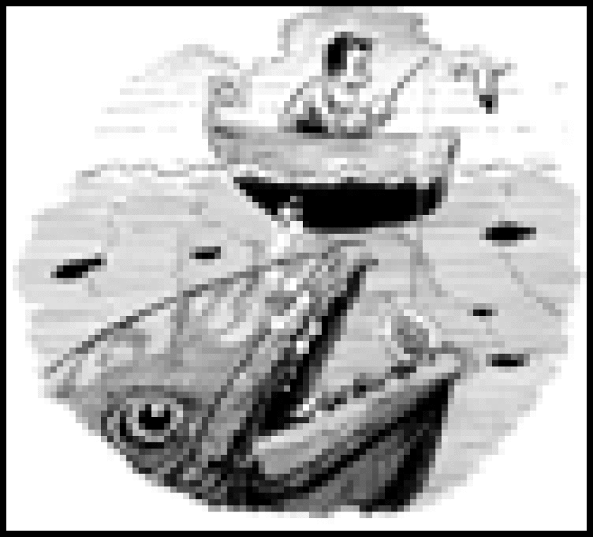 dw-fish85.gif