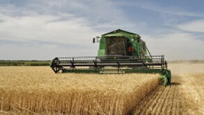 Harvest