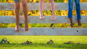 Fence.png