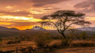 Ethiopia2_230